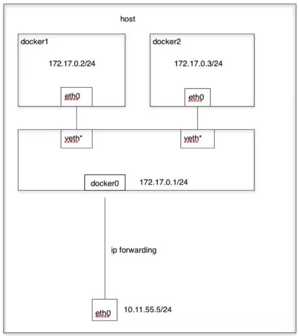 docker network bridge